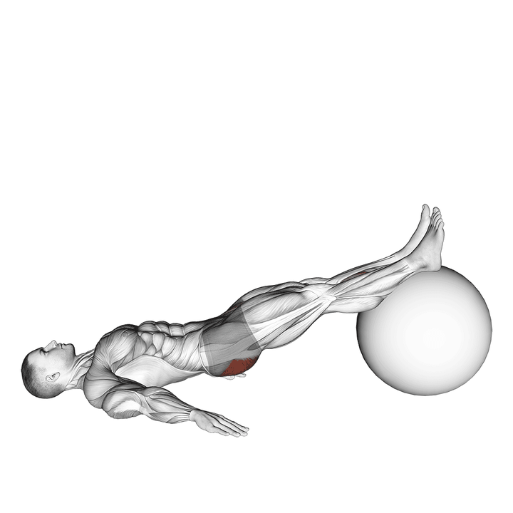 Demonstration of the exercise ball one legged diagonal kick hamstring curl