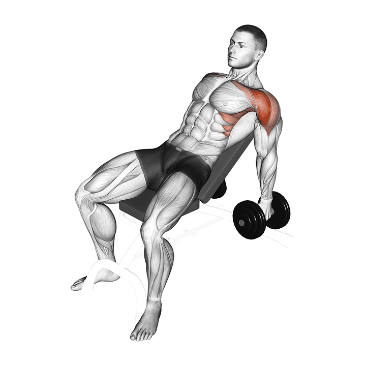 Demonstration of the dumbbell incline raise