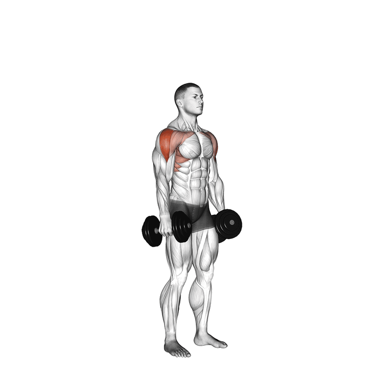 Demonstration of the dumbbell cuban press