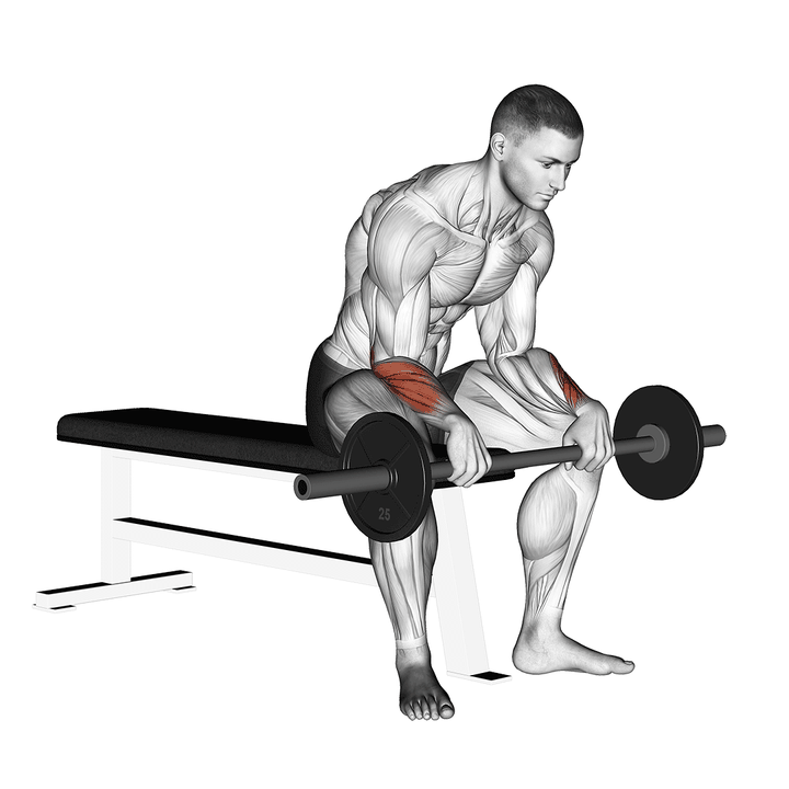 Demonstration of the barbell reverse wrist curl