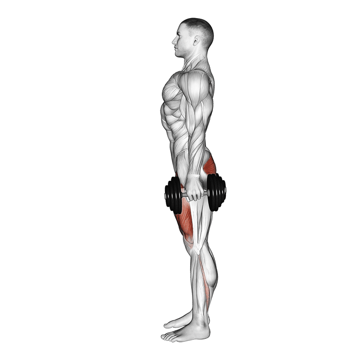 Demonstration of the dumbbell squat