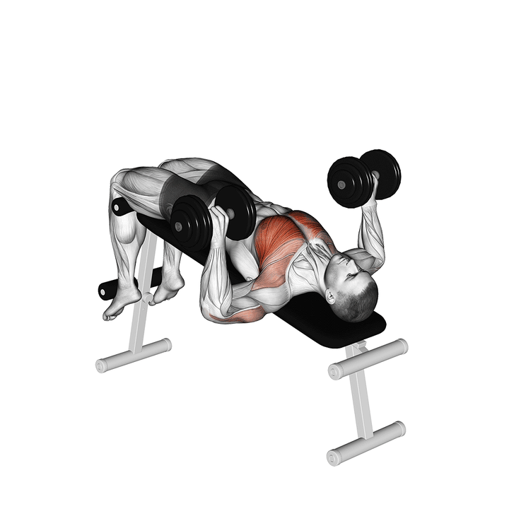 Demonstration of the dumbbell decline bench press with powerful