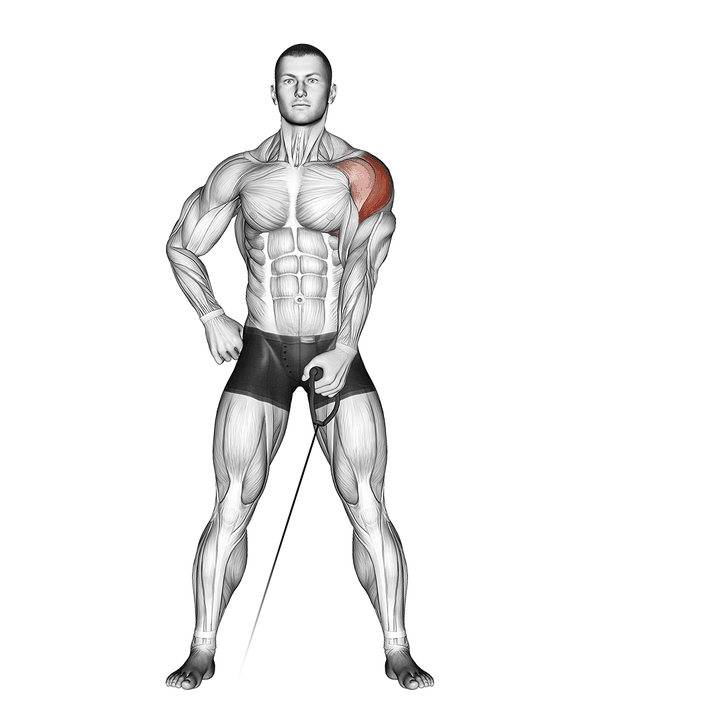 Demonstration of the cable one arm lateral raise