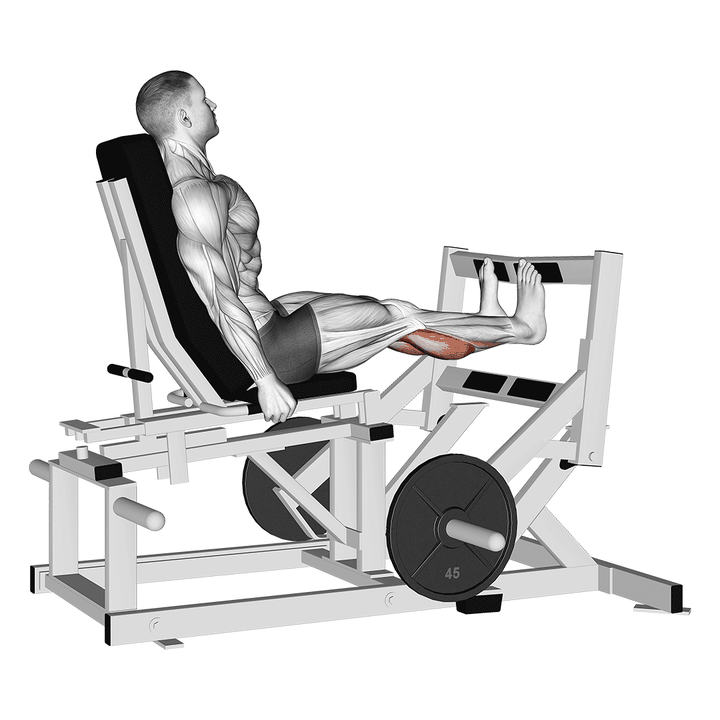 Demonstration of the lever calf press