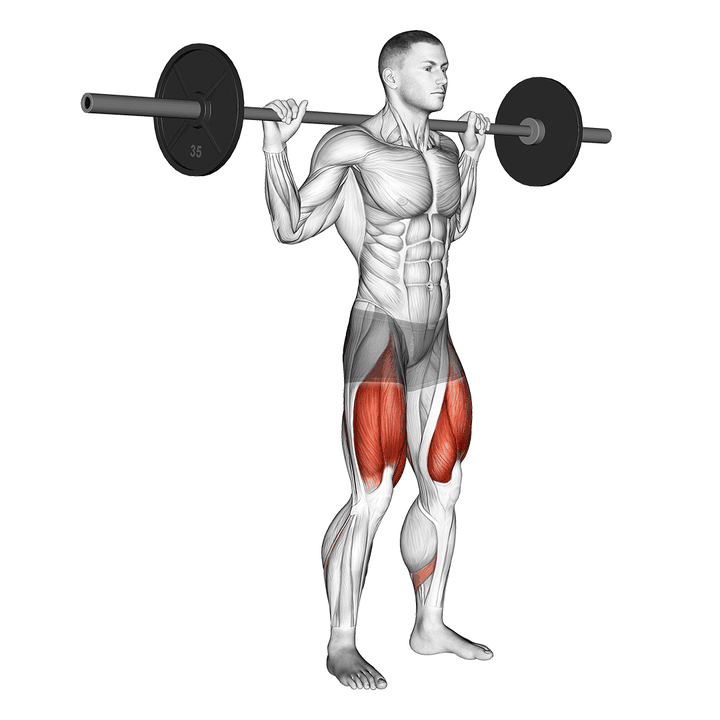 Demonstration of the barbell high bar squat