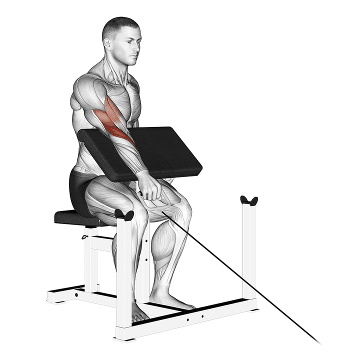 Demonstration of the cable one arm reverse preacher curl