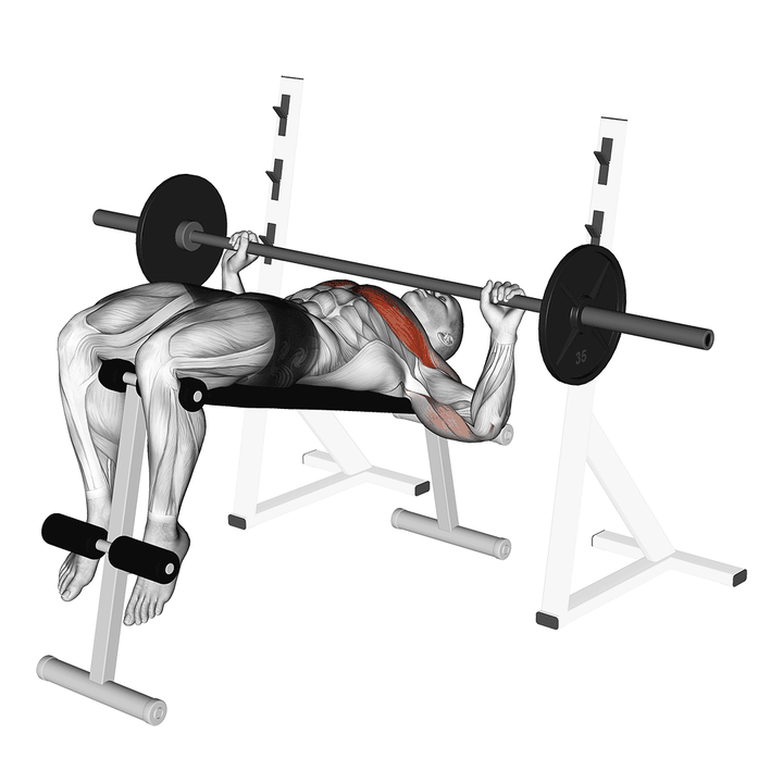 Demonstration of the barbell decline wide-grip press