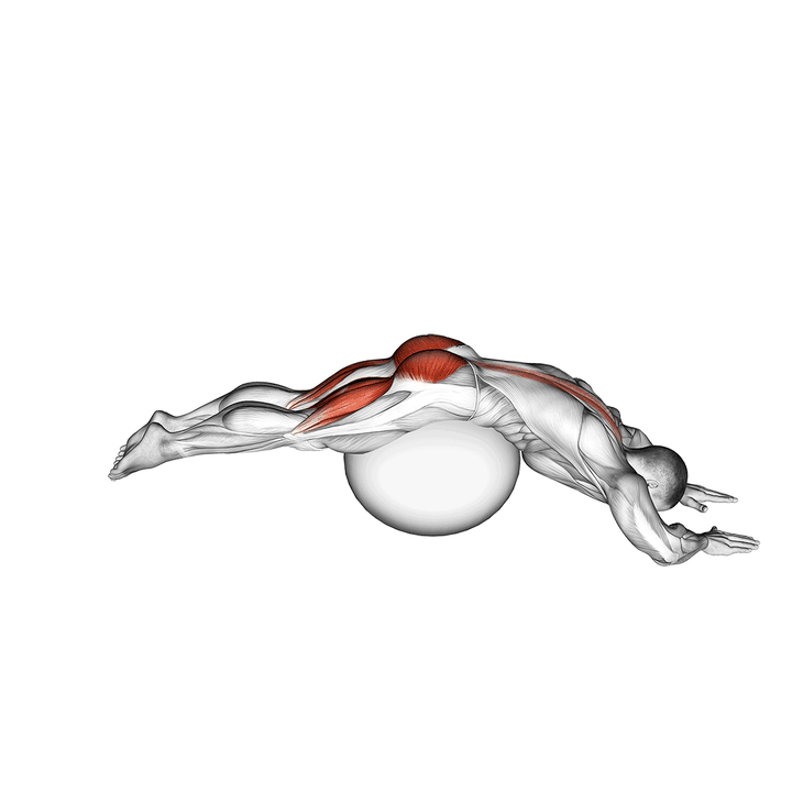 Demonstration of the reverse hyper extension (on stability ball)