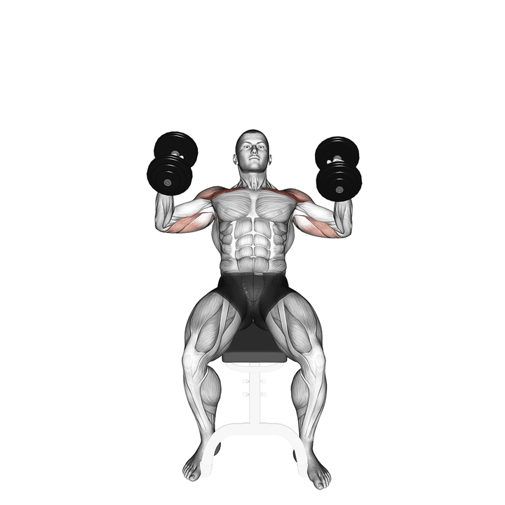 Demonstration of the dumbbell incline hammer press