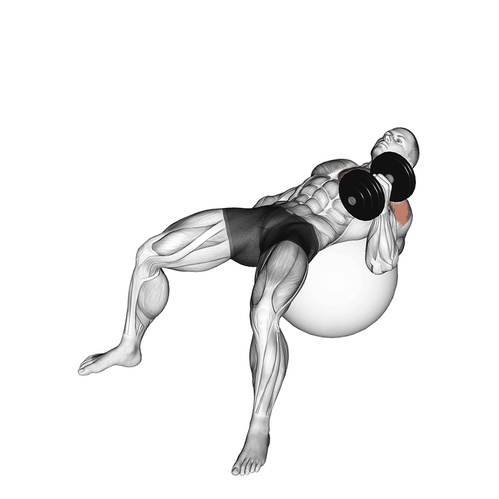 Demonstration of the dumbbell one arm hammer press on exercise ball