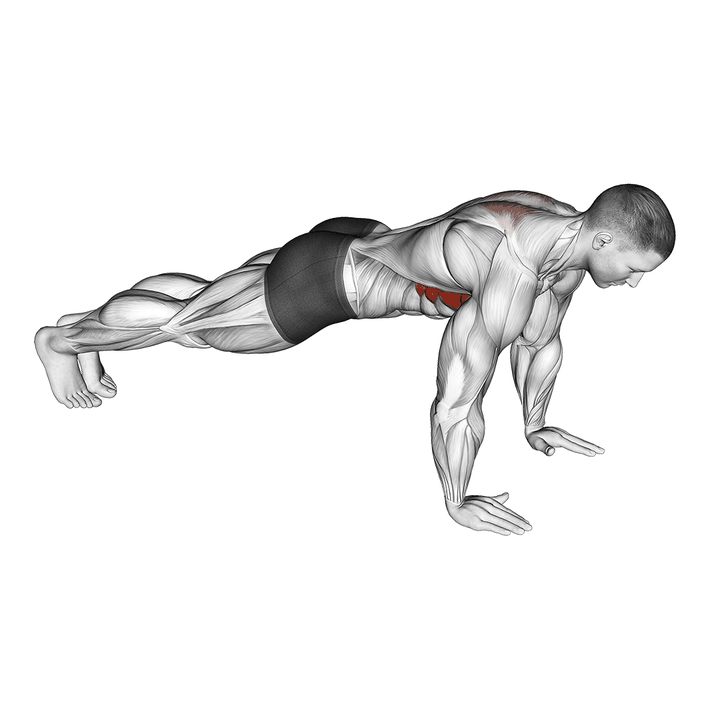 Demonstration of the scapula push-up