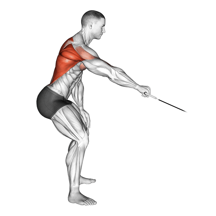 Demonstration of the cable palm rotational row