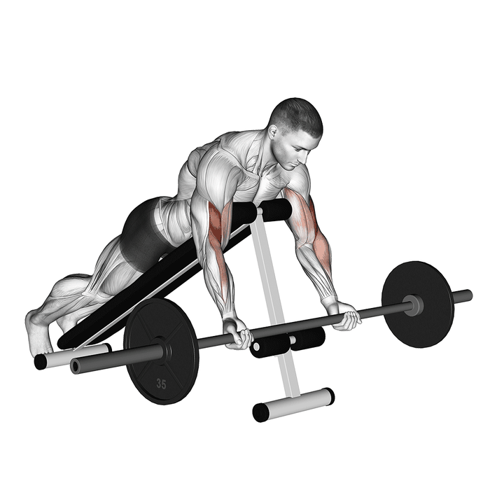 Demonstration of the barbell prone incline curl