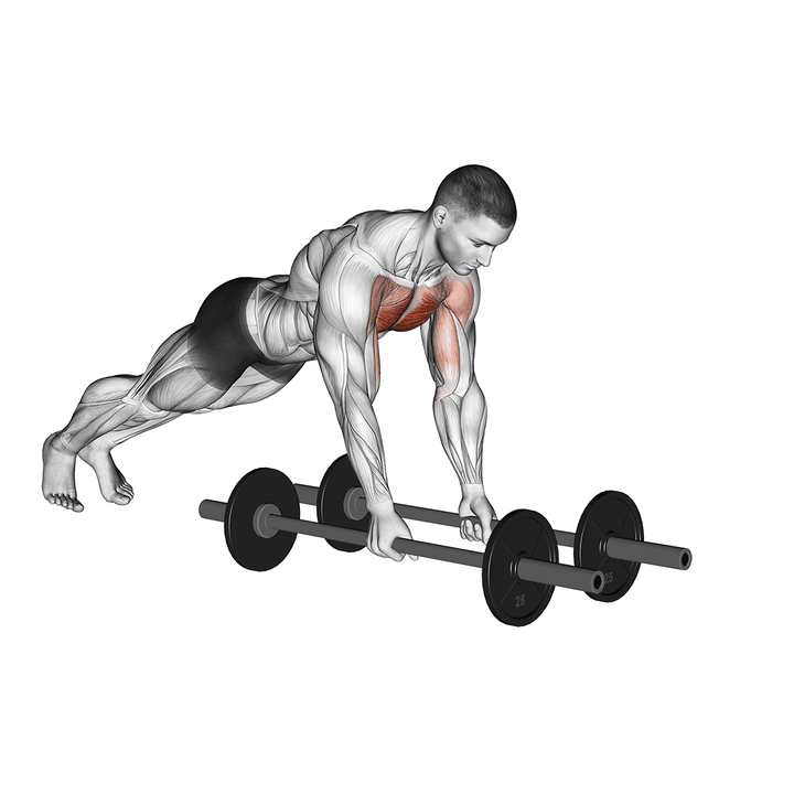 Demonstration of the floor fly (with barbell)