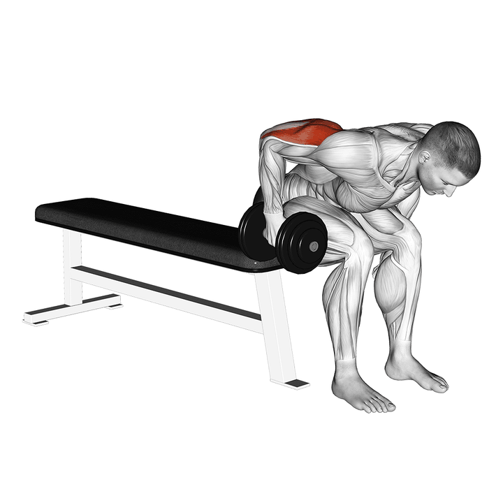 Demonstration of the dumbbell seated bent over triceps extension