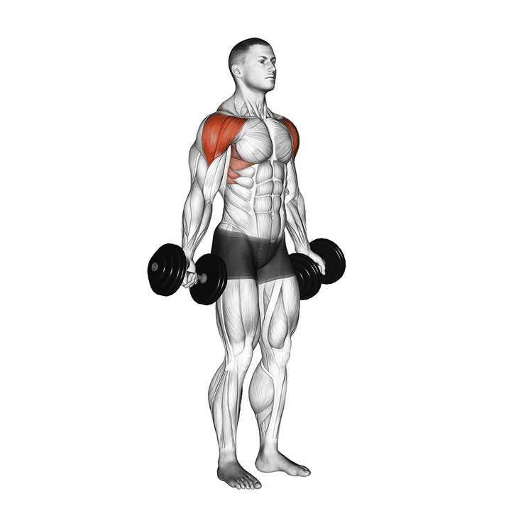 Demonstration of the dumbbell full can lateral raise