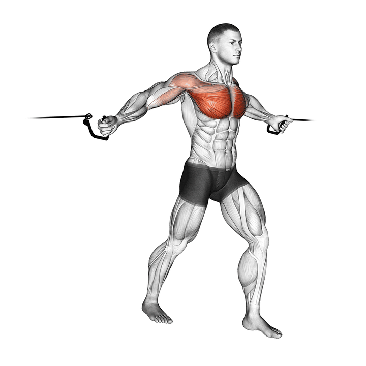 Demonstration of the full style cable middle fly