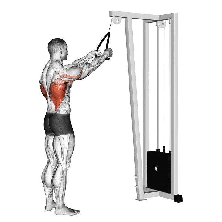 Demonstration of the cable straight arm pulldown (with rope)