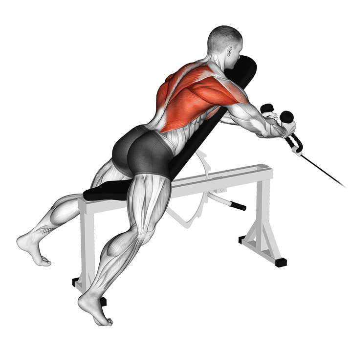 Demonstration of the cable rope extension incline bench row