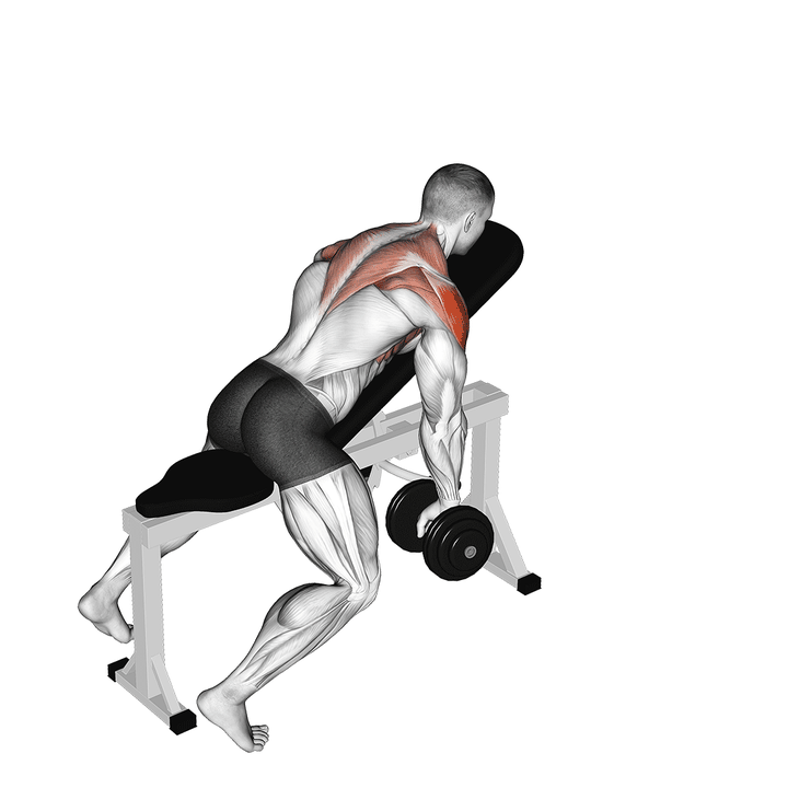 Demonstration of the dumbbell incline y-raise - sharp variation