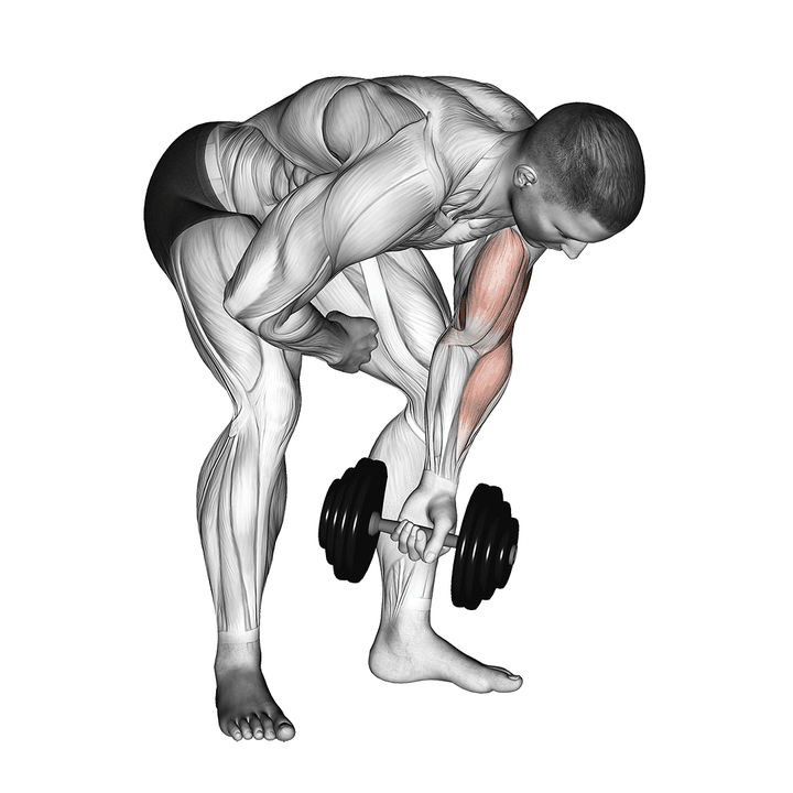 Demonstration of the dumbbell standing one arm concentration curl