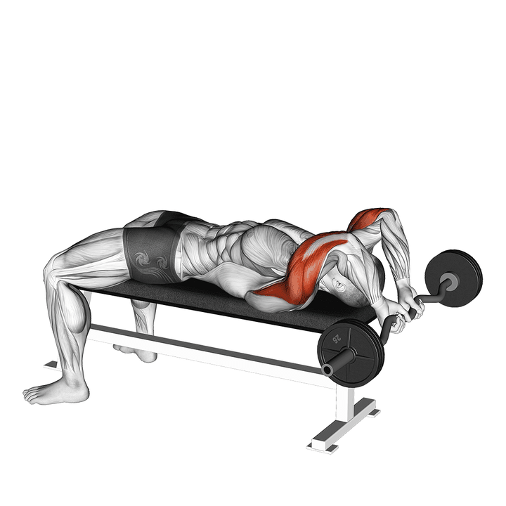 Demonstration of the ez bar lying close grip triceps extension behind head