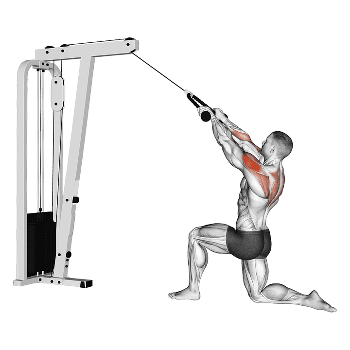 Demonstration of the cable kneeling rear delt row (with rope) (male) - full variation