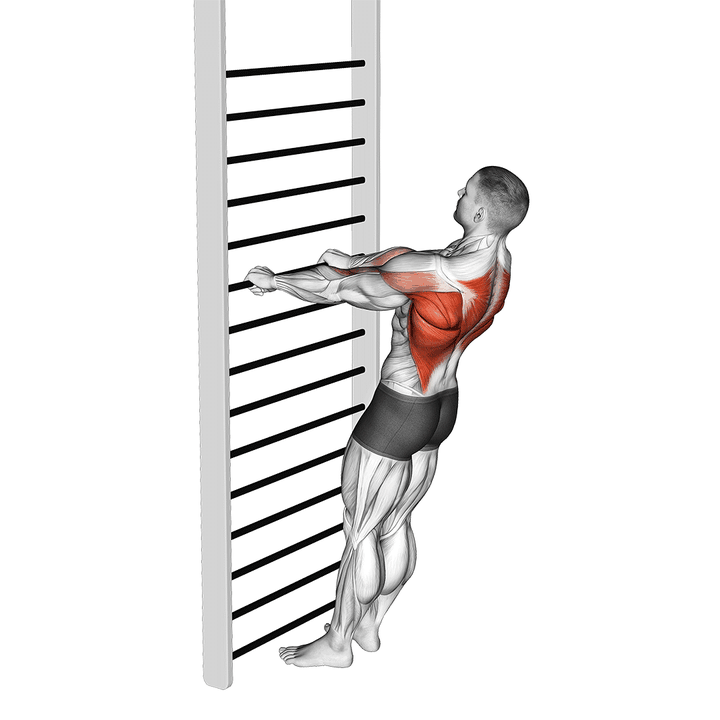 Demonstration of the bodyweight standing row