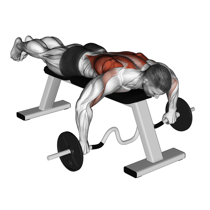 Demonstration of the cambered bar lying row