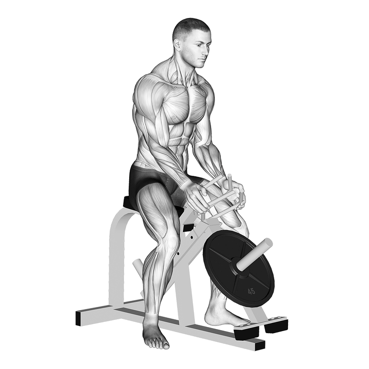 Demonstration of the partial style lever gripper hands