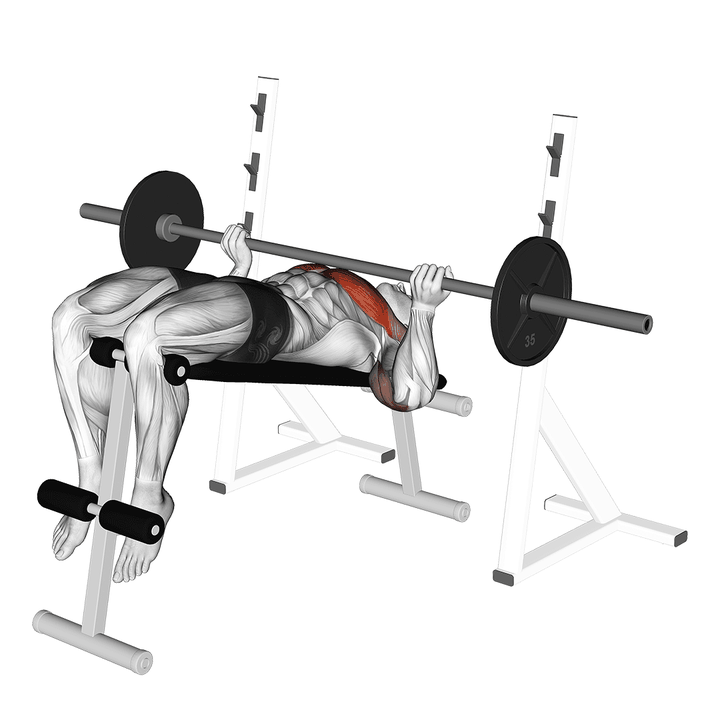 Demonstration of the barbell reverse grip decline bench press