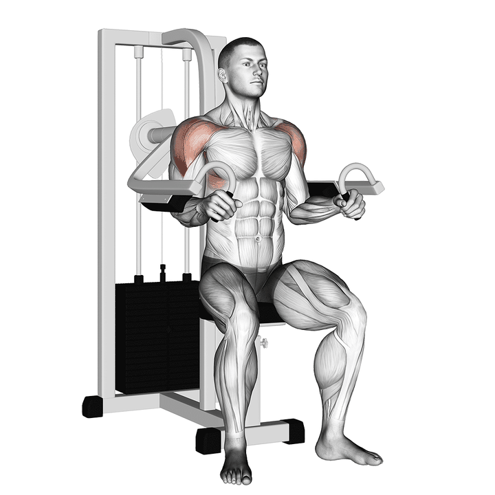 Demonstration of the lever lateral raise bent