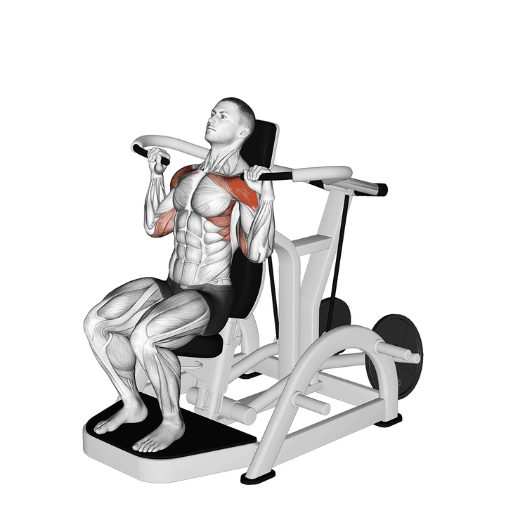 Demonstration of the lever shoulder press v. 3
