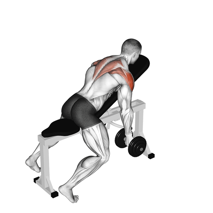 Demonstration of the dumbbell incline t-raise