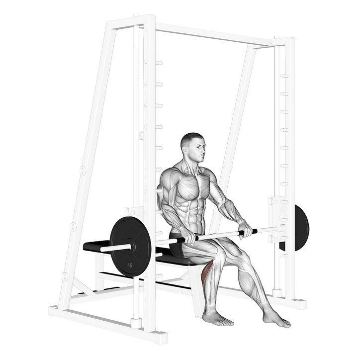 Demonstration of the smith seated one leg calf raise