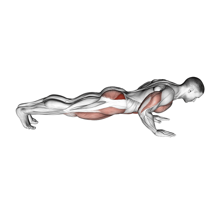 Demonstration of the spider crawl push up