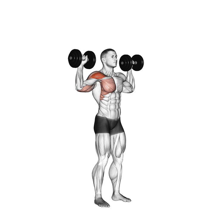 Demonstration of the dumbbell one arm shoulder press
