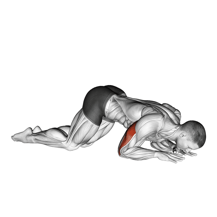 Demonstration of the bodyweight kneeling triceps extension