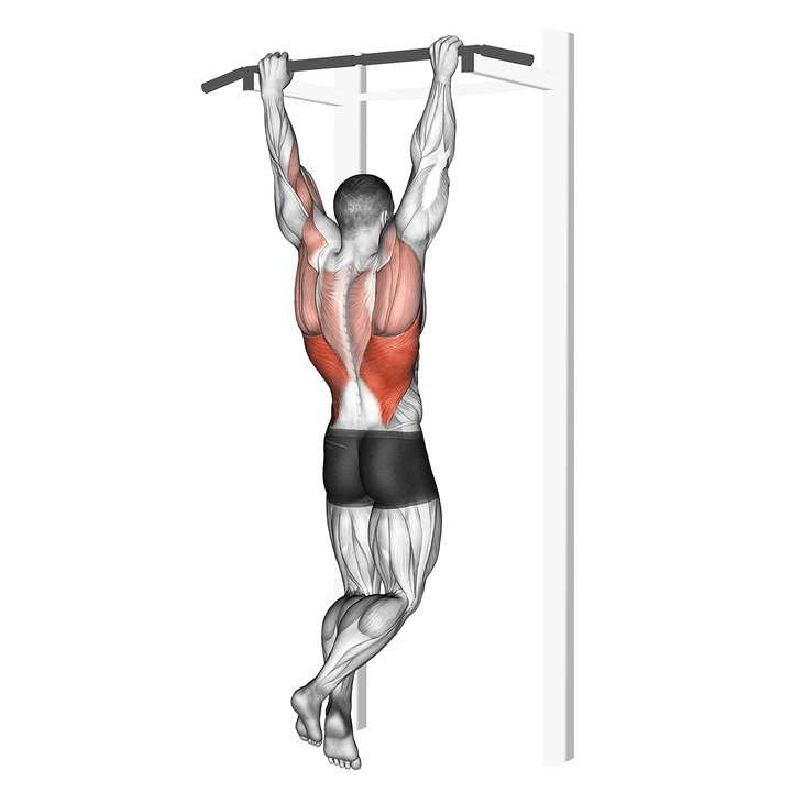 Demonstration of the rocky pull-up pulldown