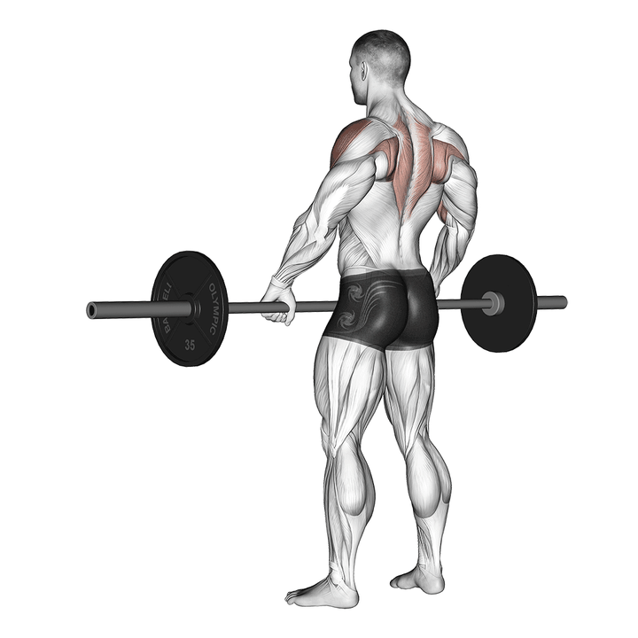 Demonstration of the barbell wide-grip upright row