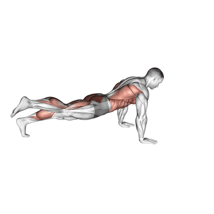 Demonstration of the power point plank