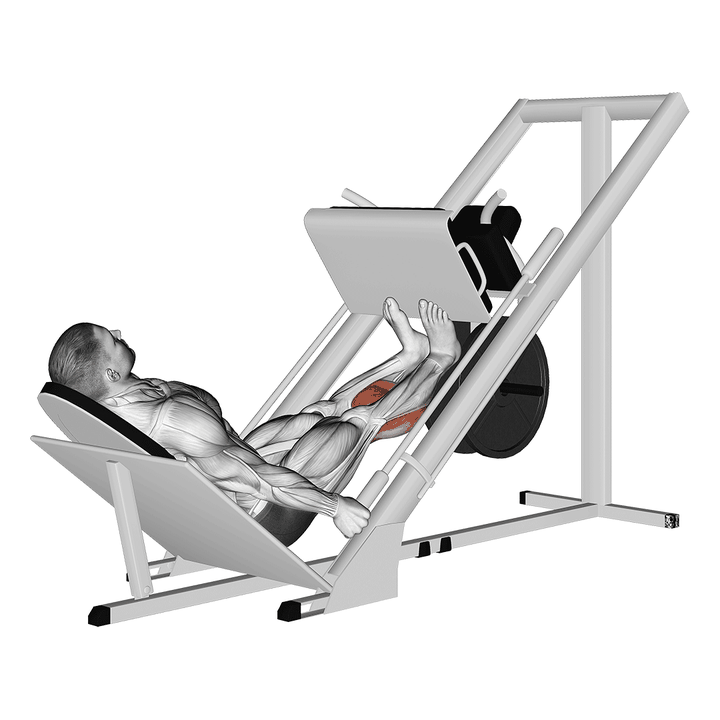 Demonstration of the sled calf press on leg press