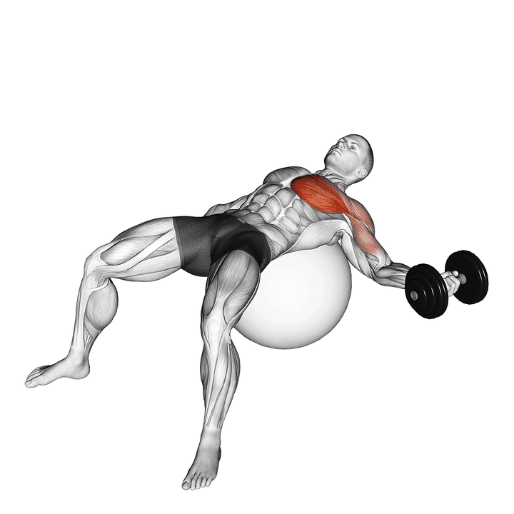 Demonstration of the dumbbell one arm chest fly on exercise ball