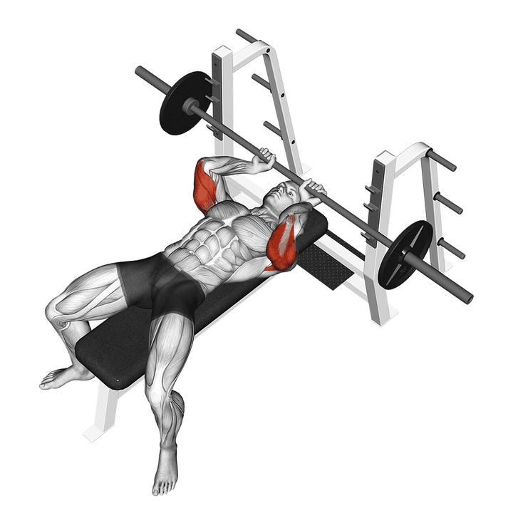 Demonstration of the barbell lying extension