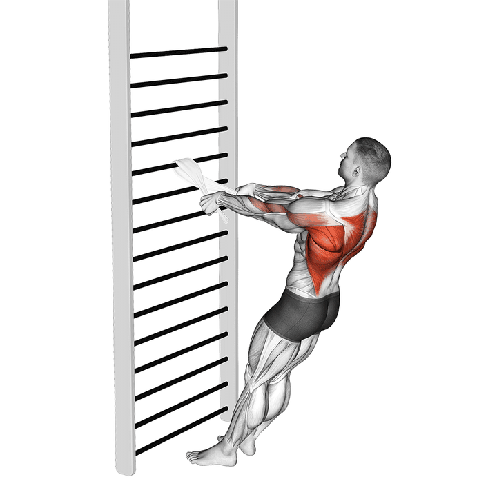 Demonstration of the bodyweight standing row (with towel)