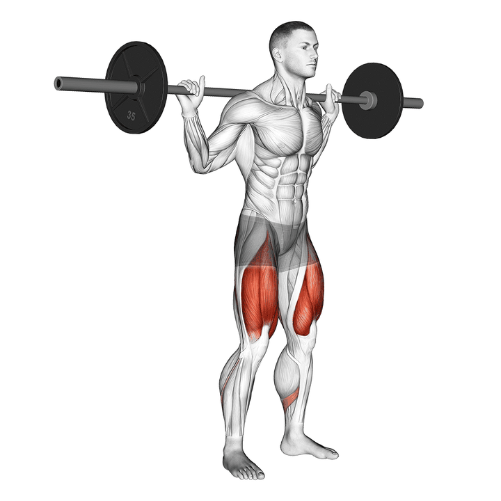 Demonstration of the barbell low bar squat