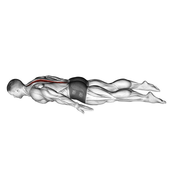 Demonstration of the lower back curl