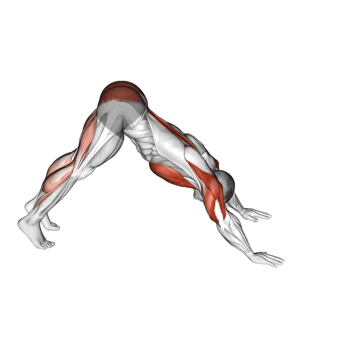 Demonstration of the pike-to-cobra push-up