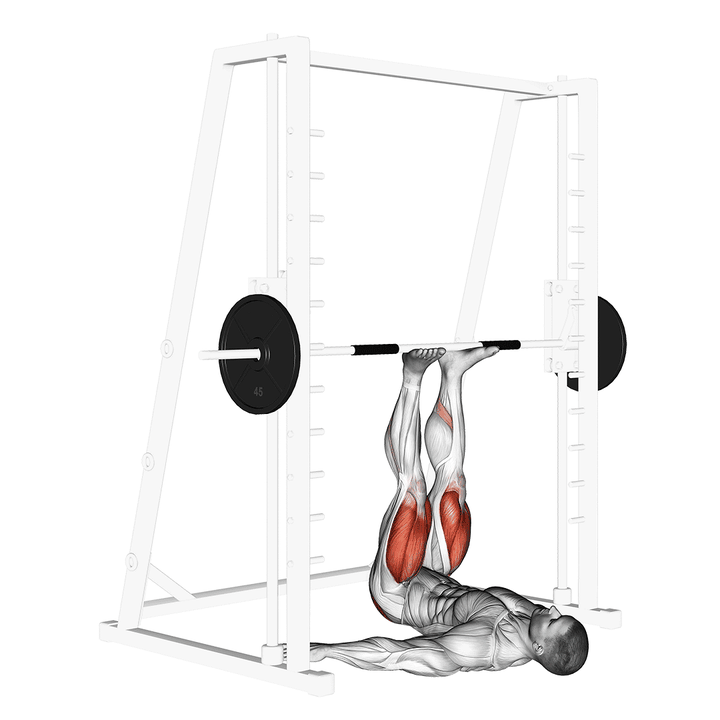 Demonstration of the smith leg press