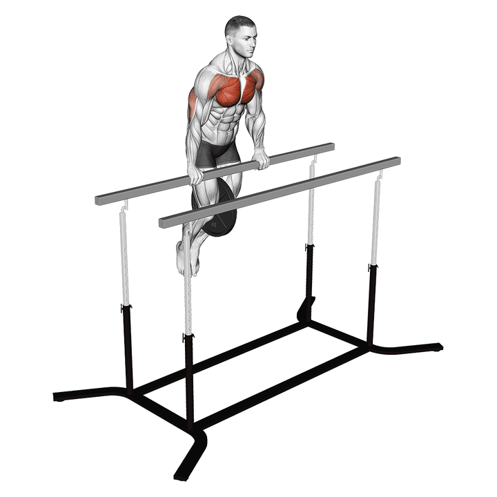 Demonstration of the weighted straight bar dip